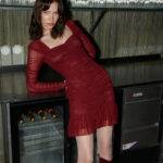 Wine Mini Mesh Dress