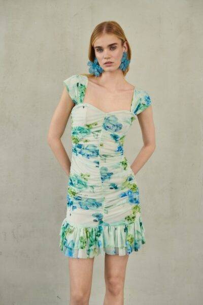 Zayel Mini Mesh Dress