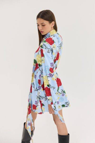 hemithea27486